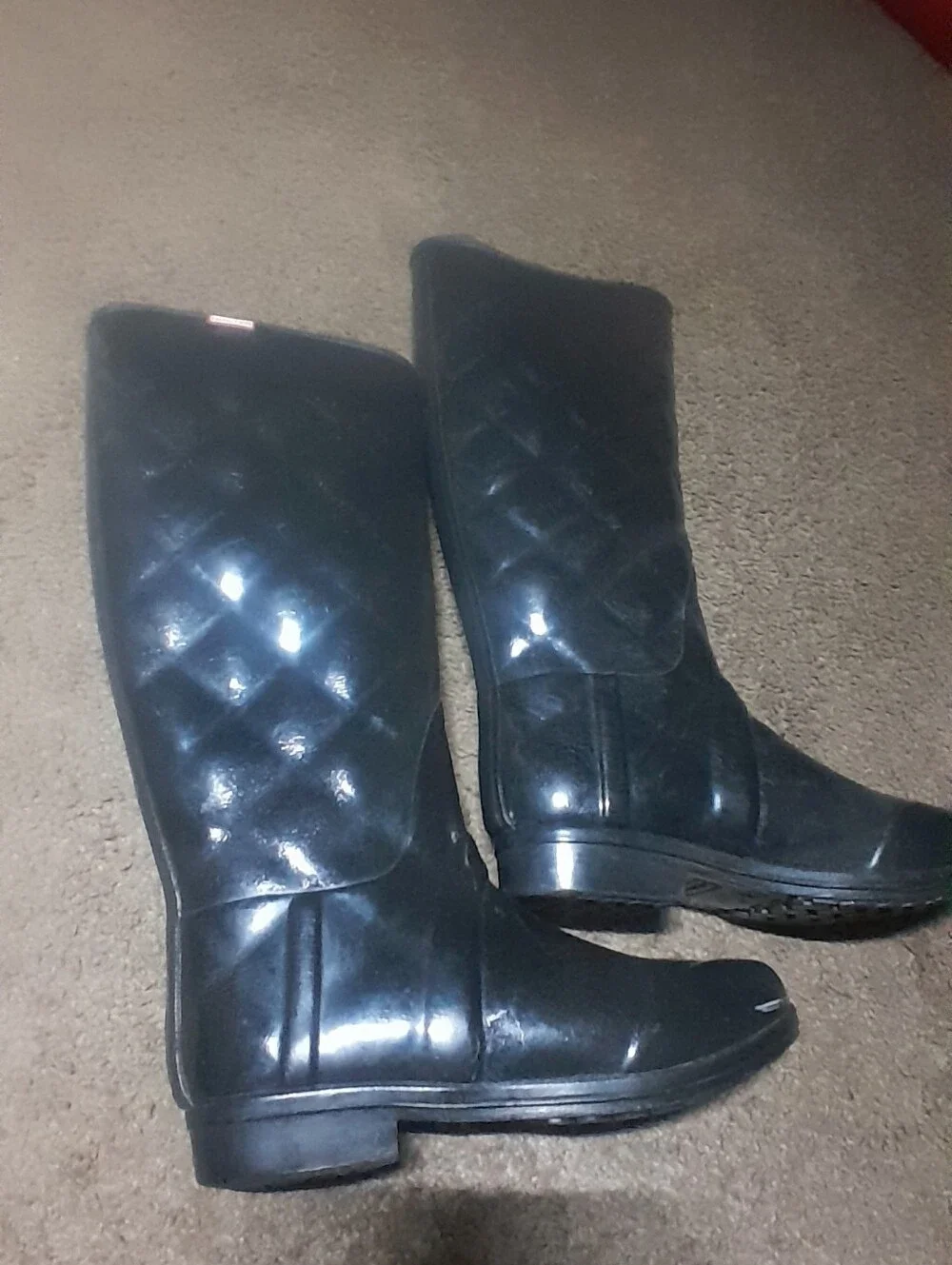 Hunter classic tall